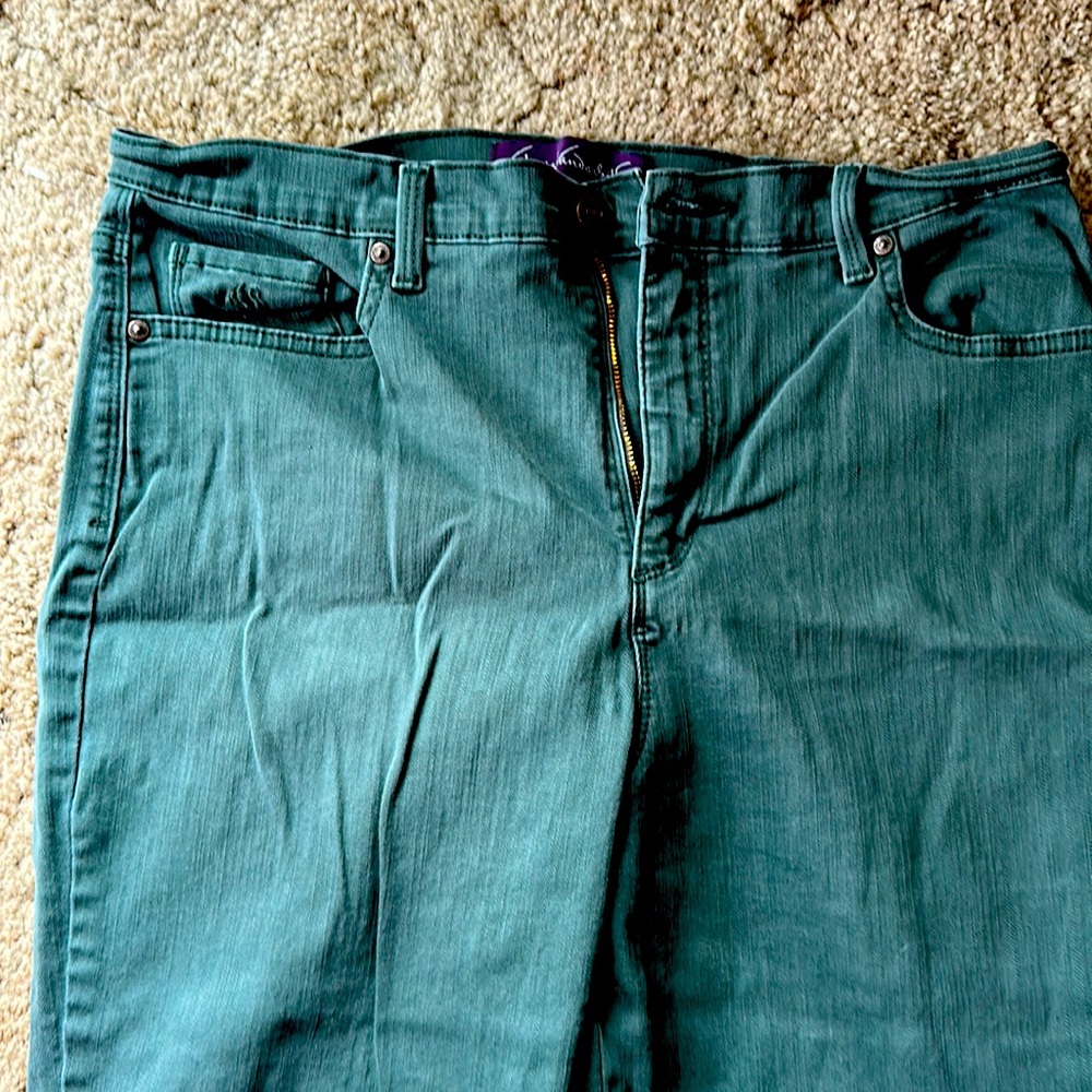 Gloria Vanderbilt Amanda Green Denim Jeans